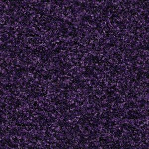 5739 Byzantine purple