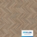41213 Parva Oak Calabria